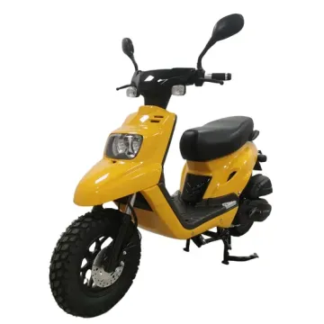 125cc & 49cc Gasoline Scooters and Mini Motorbikes