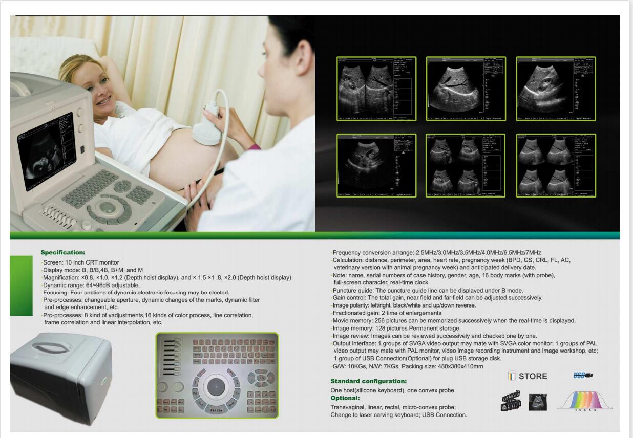 Black and white ultrasound scanner