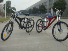 CE approved classsic green power e-bike