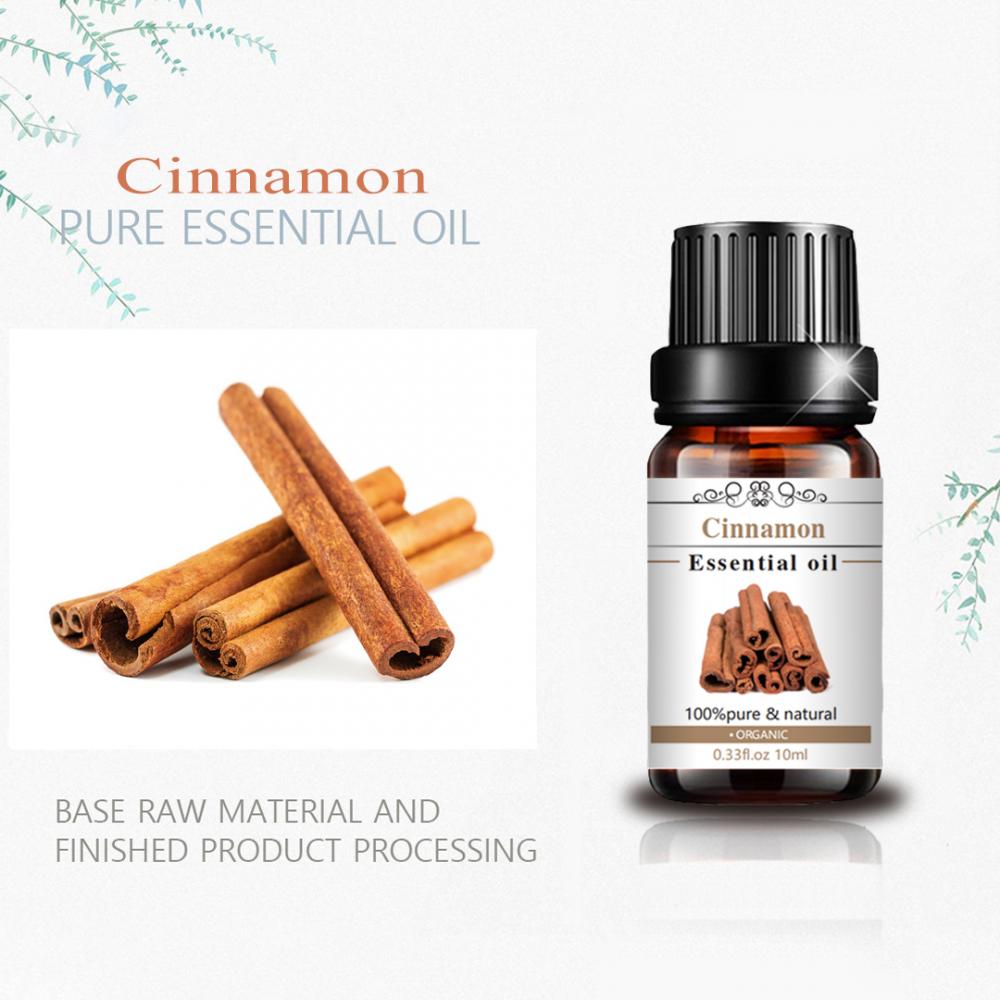 2022 Minyak Esensial Cinnamon Grade Premium untuk Pembuatan Lilin