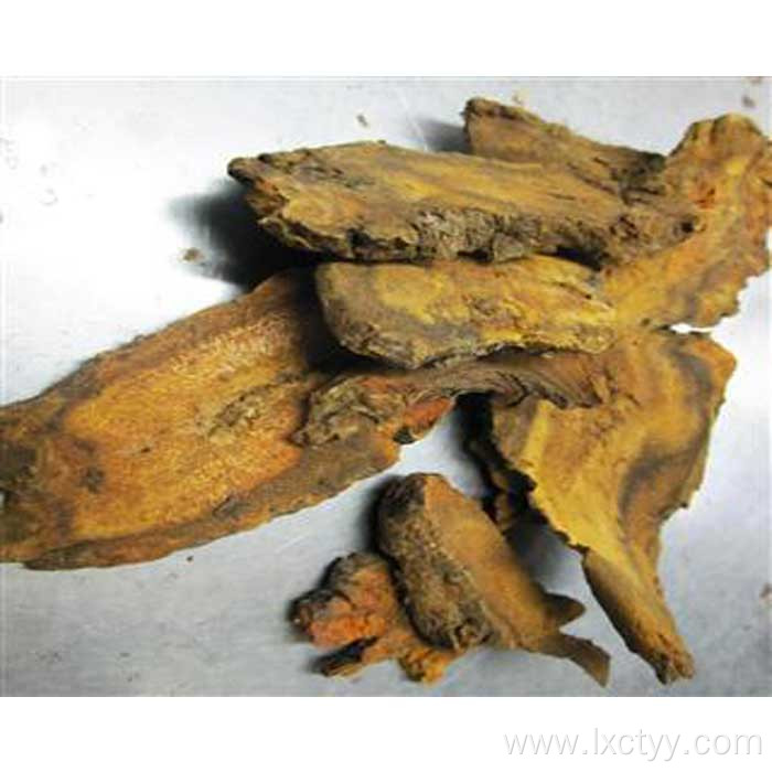 chinese rhubarb Decoction pieces good