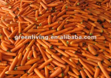 Frozen carrots and Fresh Carrot