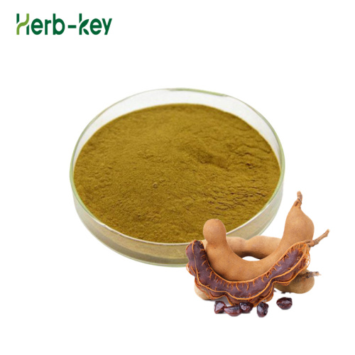 Food grade tamarind powder Tamarind Seed extract