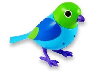 Solo Chidlren's Gift Singing Birds Toys / talking bird toy