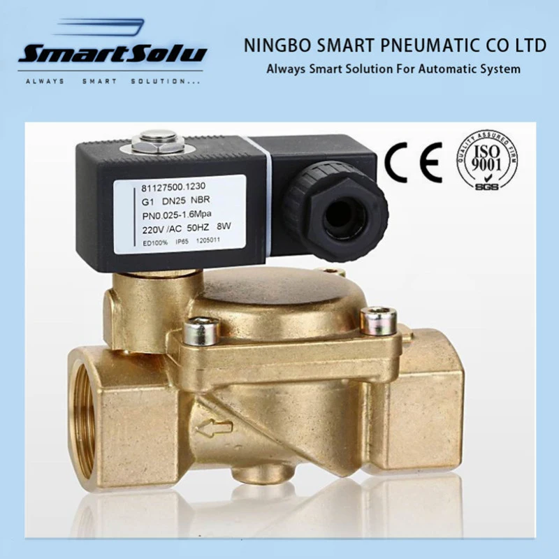 Pilot Diaphragm Stainless Steel Solenoid Valve