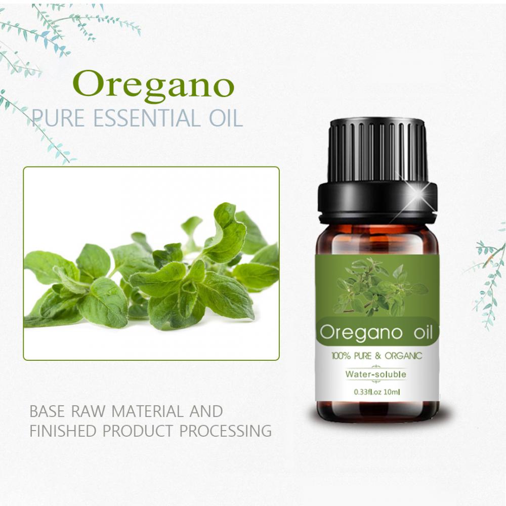 OEM Aroma Diffuser Oregano Essential Oil For Weight Loss