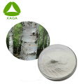 Birch Bark Extract Powder Betulin 50% 98%