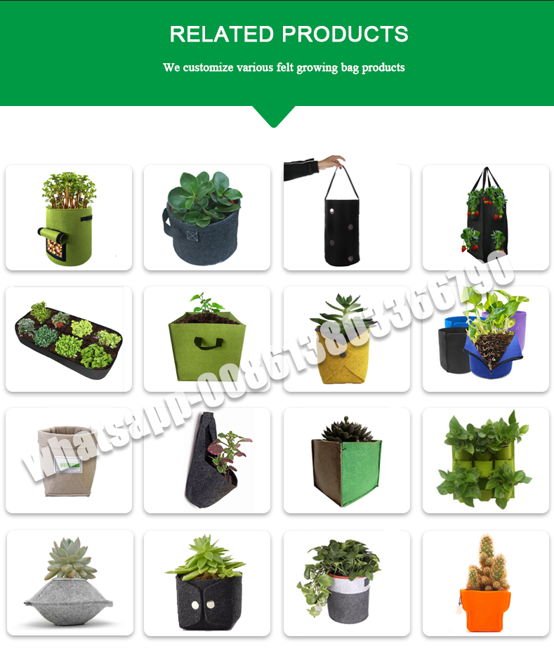 批发价格毛毡植物种植袋蔬菜种子包装袋