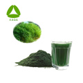 Polvo de espirulina cruda aditiva 100% de alimentación natural