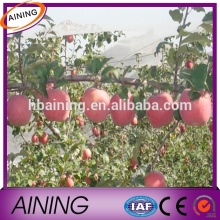 Orchard anti hail net/anti hail net factory/green anti hail net