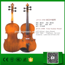 JYVA-E900 Student Model Viola