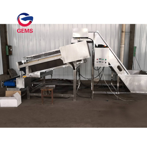 Prawn cracking Cracker Prawn Cracker Proccessing Machine