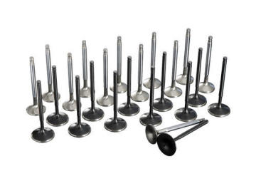 Russia Automobile Lada Engine In&Ex Valve