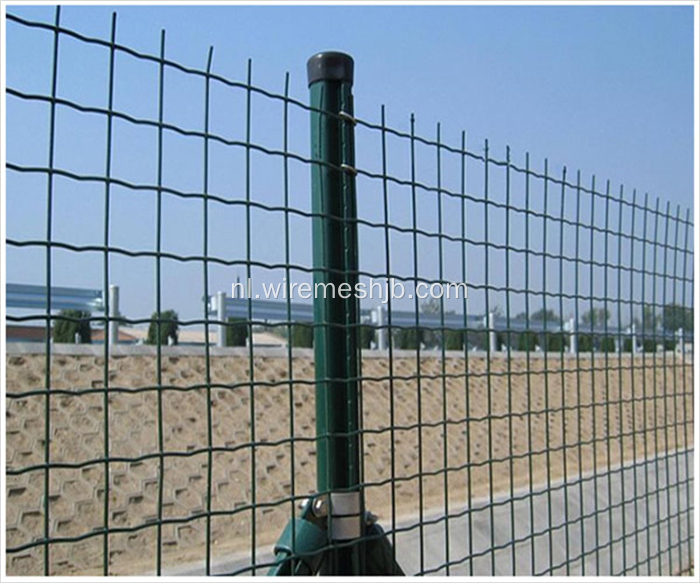 Groene kleur beveiliging Euro Fence