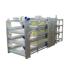 China Pullet Cage Brooder H Type Chicken Coop