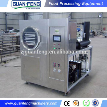 laboratory freeze dryer lab vacuum dryer