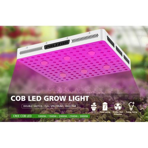 Lâmpada de horta para planta de interior 3000w