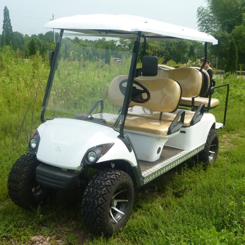 electric golf cart with off-road tire