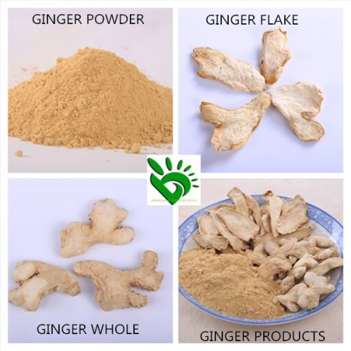 Direct Supplier of Dry Ginger Powder