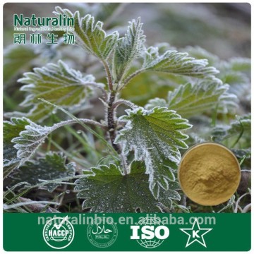 nettle powder, stinging nettle root extract, nettle extract silica