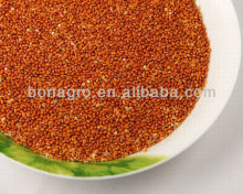 red millet bird and fish feed machine clean quality China origin