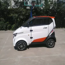 Enclosed EEC CE Coc Approved New Energy Electric Cars