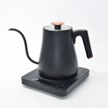 Modern Design Household Temperature Control Electric Gooseneck Kettle