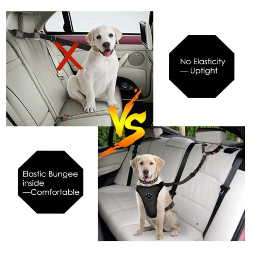 Elastik Bungee Dog Seat Belt Harness