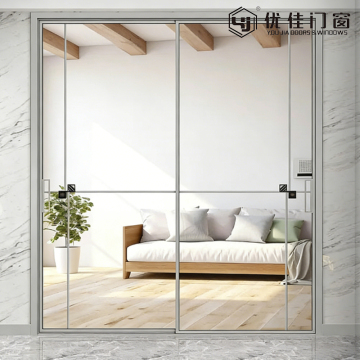Thin Frame Clear Glass Sliding Door