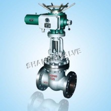 Electric Globe Valve