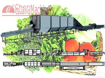 Vegetable Proceesing Line For Pretreatment Of Quick Freezing