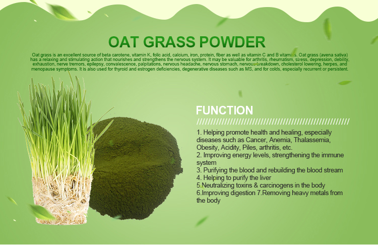 Organic Oat Grass Juice Powder Organic Wheat Grass Powder Organic Oat Grass Powder