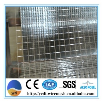 welded wire mesh 100x100/welded wire mesh 50x50