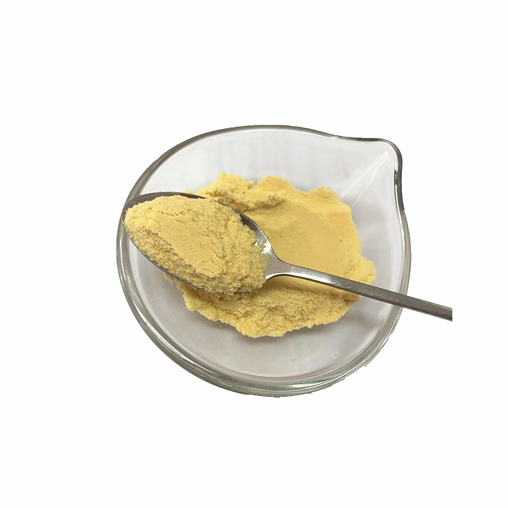 Pure Spray Dried Fruit Powder Juice Powder Passion Fruit Powder