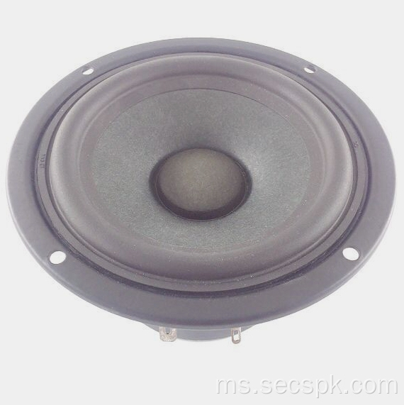 4 &quot;Coil 25 Single Speaker