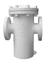 WPB Basket Type Strainer