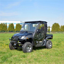 Street Legal 2-Seater All-Terrain Utility Vehicle with EEC Certificate