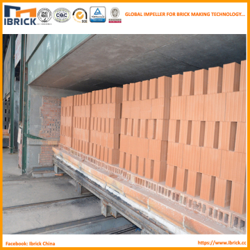 Clay Brick Tunnel Kiln (red clay brick kiln)