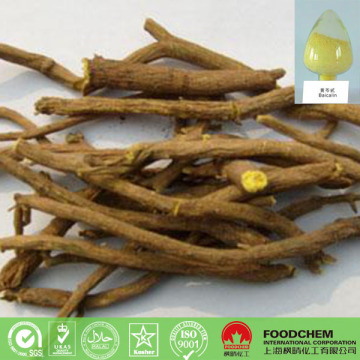 Raw Material Scutellaria Baicalensis Extract