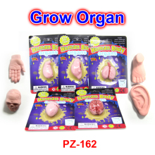 Plastic Grow Human Organs