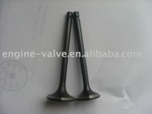 intake & exhaust valves