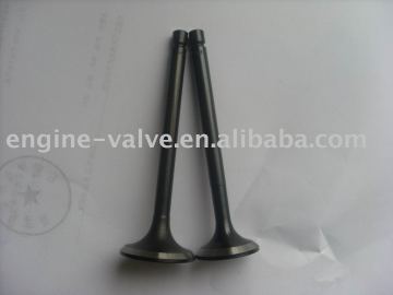 intake & exhaust valves