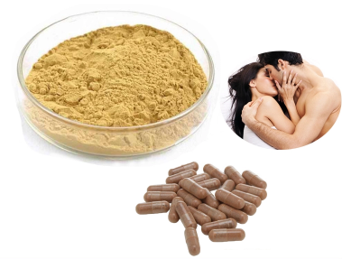 Tongkat Ali root Extract