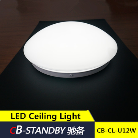 12w led ceiling light