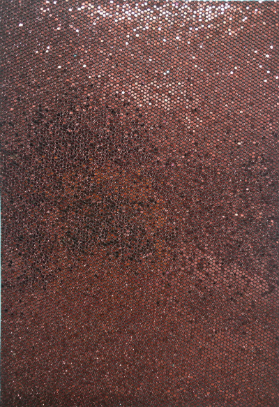 Protección del medio ambiente Lentejuelas Estrella láser Cuero Environmental Protection Sequins Laser Star Leather