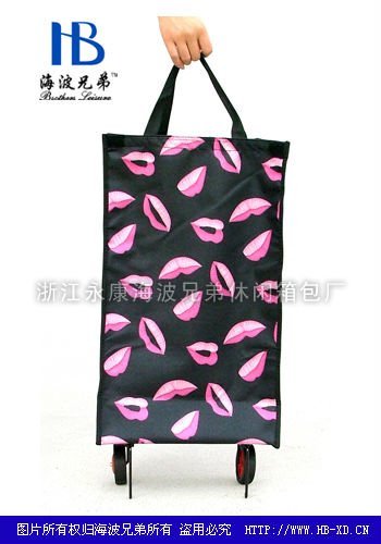 fashion reusable shopping bags|folding shopping bag with wheels|wheeled shopping bag