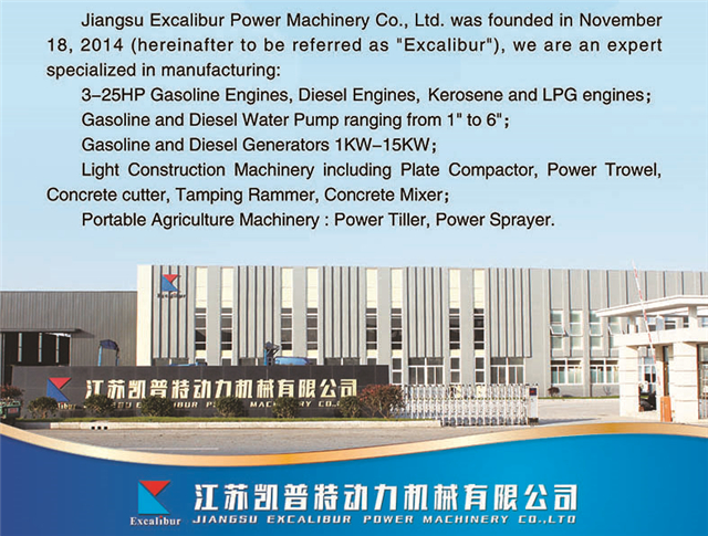 13 HP Gasoline Engine Chinese Gasoline Engine OHV Gasoline Engine