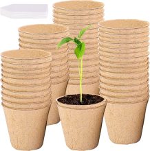 Yuchen Biodegradable Paper Style Small Green Plant Pot for Garden