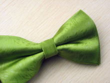 Men's Woven Polyester Bowtie