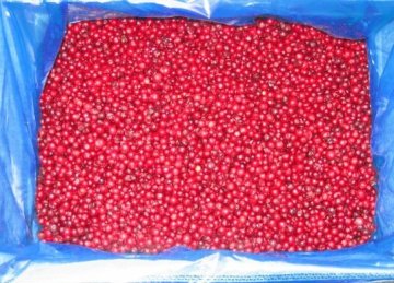 Frozen Lingonberry